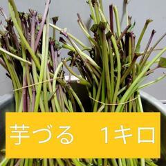 完売！ありがとうございました！
