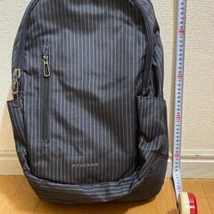 【新品・未使用】15-16インチノートPC用バックパックTUCA...