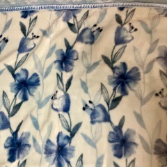 【高級毛布】京都西川高級毛布・シングル　