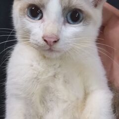 ★ありがとうございます★受付ストップ