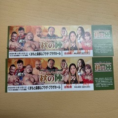 プロレス チケット 自由席