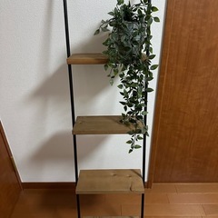 【最終値下げ🌟】【日本製】ウォールシェルフ　はしご　ラダーラック