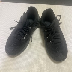 NIKEバッシュ