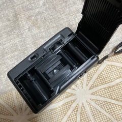 パノラマカメラの画像