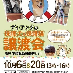 保護犬猫の譲渡会