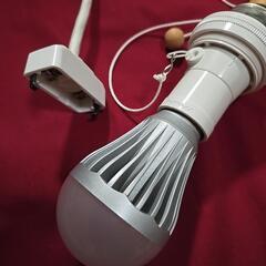 ペンダントライト LED電球付き の画像