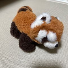 レッサーパンダ2