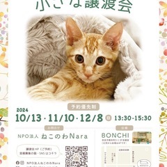 ねこのわNara 保護猫小さな譲渡会&ねこのわ相談会