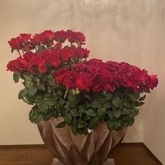 エミリオロバ　アートフラワー　ローズ　薔薇　大型　観葉植物　