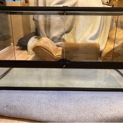 【GEXグラステラリウム9045】中古品の画像