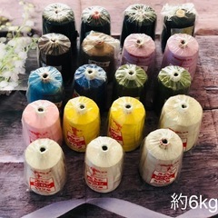 工業ミシン糸 30番 5000m 
