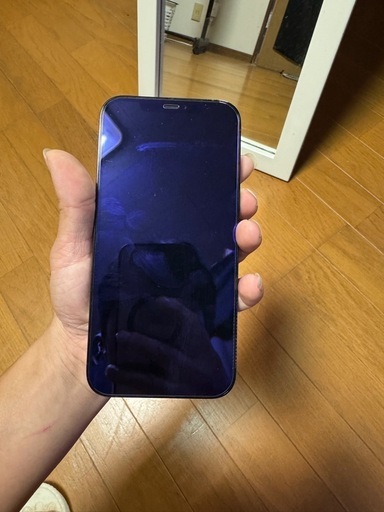 その他 iphone 12 promax