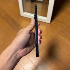 iphone 12 promax
の画像