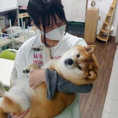 不登校支援の画像
