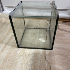 ミニ水槽　（15センチ）