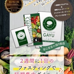 【値下げ】ファスティングキット