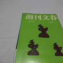 1991年　平成3年　8月1日　週刊文春　雑誌　当時物　貴花田　萩野アンナ　デーブスペクター　テレサテン　岡本夏生　石原裕次郎　渡哲也　ダッダーン　の画像