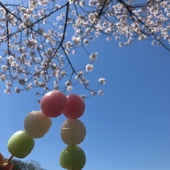 おしゃべり好きな友達募集♬