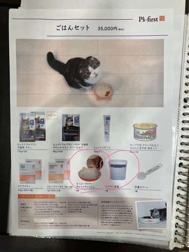 猫 トイレやケージの飼育セット