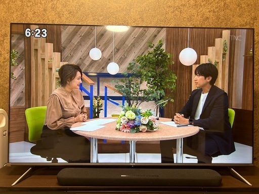 ハイセンス　液晶テレビ 65V型 4Kチューナー内蔵　65A65H