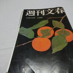 1990年　平成2年　11月15日　週刊文春　雑誌　当時物　藤原新也　真田広之クン　宮沢りえ　後藤久美子　沢口靖子　清水ミチコ　フィルダー　の画像