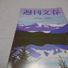 2000年　平成12年　10月28日　週刊文春　雑誌　当時物　岡本綾　藤谷文子　チャーリーズ・エンジェル　田代まさし　釈由美子　新庄　バトル・ロワイヤル　の画像