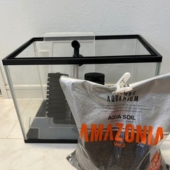 アマゾニアの中古が安い！激安で譲ります・無料であげます