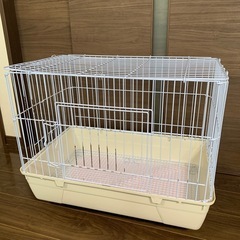 GEX☆ウサギ小屋☆の画像