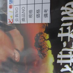 DVD　１００円で　　１００円コーナーボックスの中に入ってますの画像