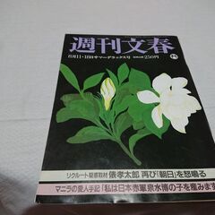 1988年　昭和63年　8月11･18日　週刊文春　雑誌　当時物　草刈民代　松田聖子　藤谷美和子　明石家さんま　今井美樹　山城新伍　小谷実可子　喜多嶋舞　阿川佐知子　の画像