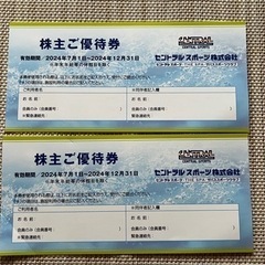 セントラルスポーツ優待券 2枚セット