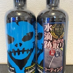 【国内向け正規品】ブードゥーライド シルク 2本 洗車用品 下地処理 水垢除去の画像