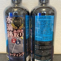 【国内向け正規品】ブードゥーライド シルク 2本 洗車用品 下地処理 水垢除去の画像