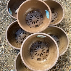 寄せ植え用プラスチック鉢　7つ　