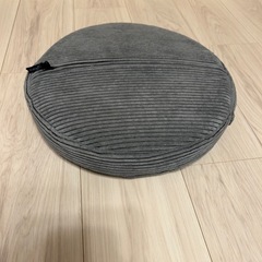 カバー付きバランスディスクの画像