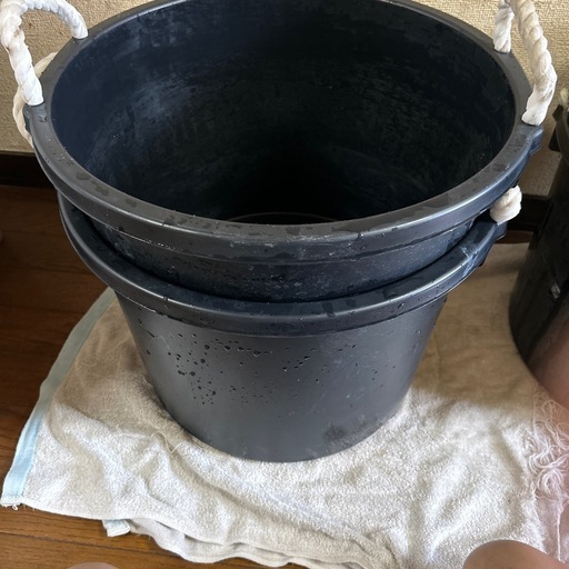 メダカ容器\n