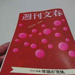 1988年　昭和63年　1月21日　週刊文春　雑誌　当時物　渡辺美智雄政調会長　田原総一朗　オスマン・サンコン　紺野美沙子　の画像