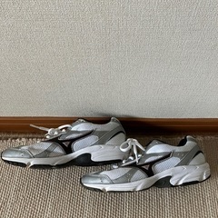 ミズノ　スニーカー　23cmの画像