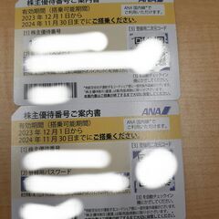 ANA 株主優待優待券(案内書2枚)