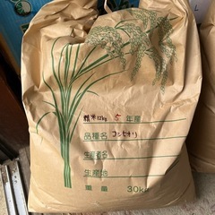 令和５年産コシヒカリ精米12kg