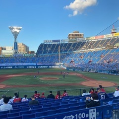 ベイスターズファンの方仲良くして下さい‼️