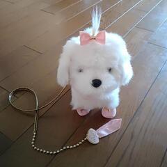 おさんぽだいすきプリンセスマルチーズの画像