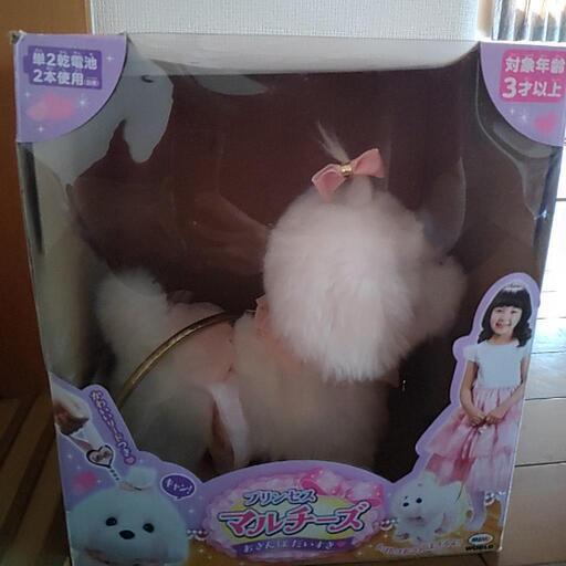 おさんぽだいすきプリンセスマルチーズ