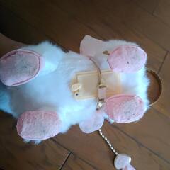 おさんぽだいすきプリンセスマルチーズの画像