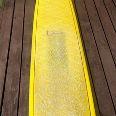 HAWAIIAN PRO DESIGNS / Model T 9'6