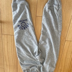 ミニバス140センチチャンピオンの画像