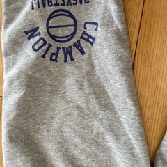 ミニバス140センチチャンピオンの画像