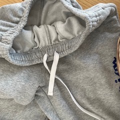 ミニバス140センチチャンピオンの画像