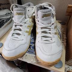 バスケットボール　シューズ