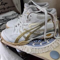 バスケットボール　シューズの画像